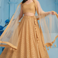 Elegant Wedding Wear Lehenga Choli with Intricate Georgette Embroidery