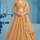 Elegant Wedding Wear Lehenga Choli with Intricate Georgette Embroidery