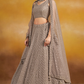 Ornate Thread and Sequin Embroidered Festive Lehenga Choli