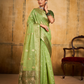 Tissue Silk Elegance Draped in a Striking Contrast Border