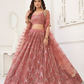 Trendy Butterfly Net Lehenga Choli with Intricate Thread & Sequin Work