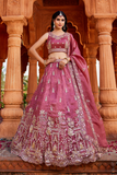 LAVANTEFASHIONTissueHandworkcutdanaembroiderySemi-StitchedLehengacholi_Dupatta_13 - LaVante Fashion
