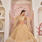 Beautifully Embroidered Net Lehenga with Sequin and Thread Detailing