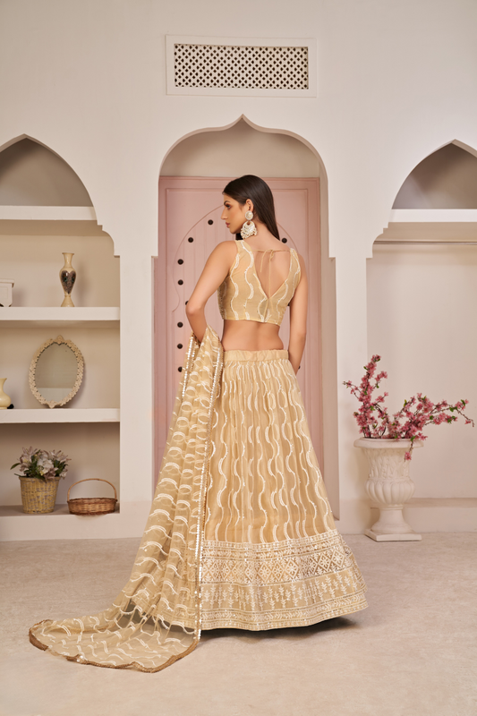 Beautifully Embroidered Net Lehenga with Sequin and Thread Detailing
