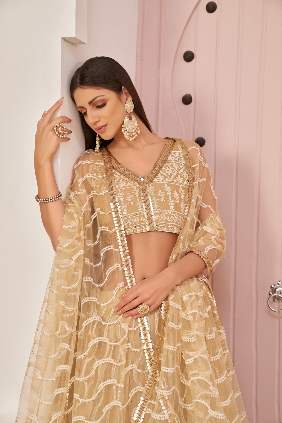 Beautifully Embroidered Net Lehenga with Sequin and Thread Detailing