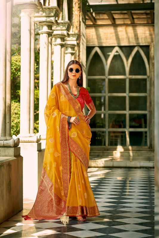 Elegant Soft Tissue Silk Draped in Traditional Zari Work - LaVante Fashion