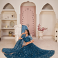 Elegant Embroidered Net Lehenga Set for Festive Occasions
