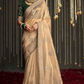 Elegance Embroidered Organza Silk Ensemble with Delicate Detailing