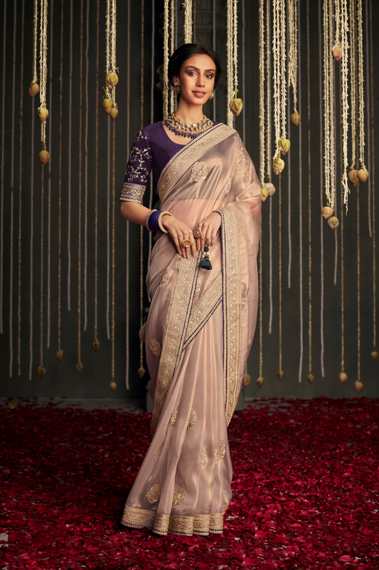 Elegance Embroidered Organza Silk Ensemble with Delicate Detailing