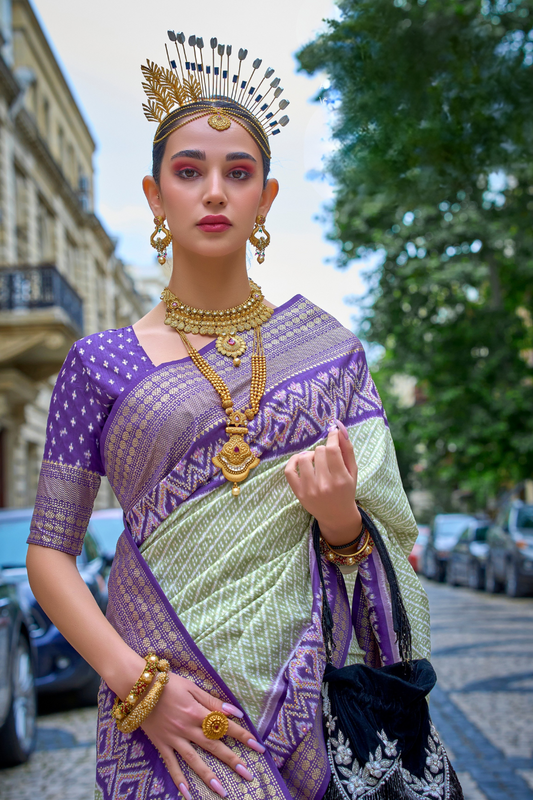 Premium Printed Saree in Polyester Viscose Silk with Shine