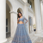Graceful Thread and Sequin Embroidered Net Lehenga for Parties