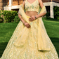 Elegant Lehenga Set with Multiple Sequins & Thread Embroidery