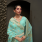 Designer Two-Tone Weaving Saree in Nylon Chinon