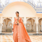 Handloom Crafted Saree in Nylon Silk Georgette for Festive Wear