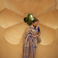 Two-Tone Nylon Woven Silk Saree with Elegant Shine