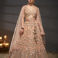 Heavy Zarkan Embroidery Semi-Stitched Lehenga Choli with Dupatta