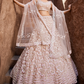 Designer Net Lehenga Choli with Sequin Embroidery and Coordinated Dupatta