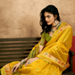 Regal Heritage Woven in Patola Handloom Silk Elegance