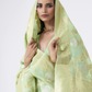Traditional Linen Silk Saree with Elegant Zari Patterns