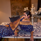 Zari Woven Silk Saree with Traditional Rich Pallu Design