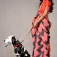 Banarasi Silk Saree with Zari Border and Rich Pallu