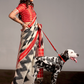 Banarasi Silk Saree with Zari Border and Rich Pallu