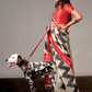 Banarasi Silk Saree with Zari Border and Rich Pallu