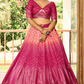 Graceful Lehenga Set with Sequins & Thread Embroidery