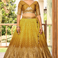Graceful Lehenga Set with Sequins & Thread Embroidery