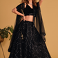 Richly Embroidered Lehenga with Sequins & Zari Detailing