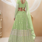 Designer Georgette Lehenga and Soft Net Dupatta Ensemble