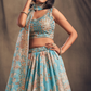 Bridal Organza Lehenga Choli with Detailed Floral Embroidery