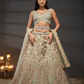 Designer Net Lehenga Choli with Elegant Embroidery