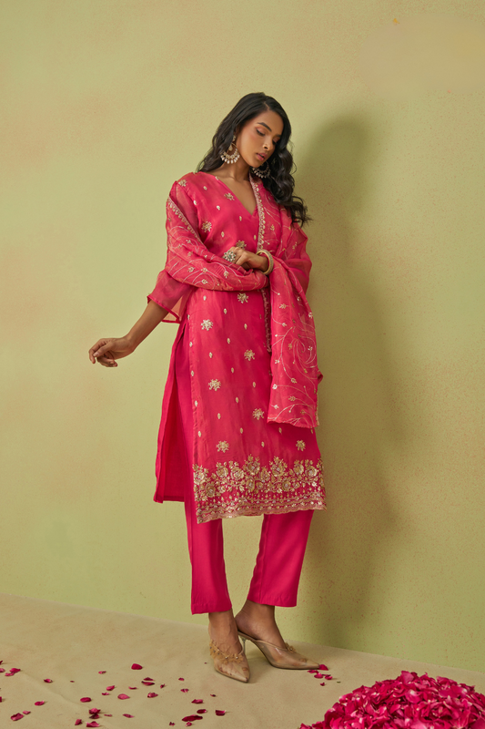 LAVANTE_FASHION_Shimmer_Organza_Salwar_Suit_3 - LaVante Fashion