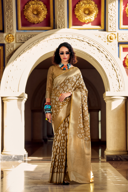 Tissue Silk Saree with Subtle Sheen and Elegant Drape