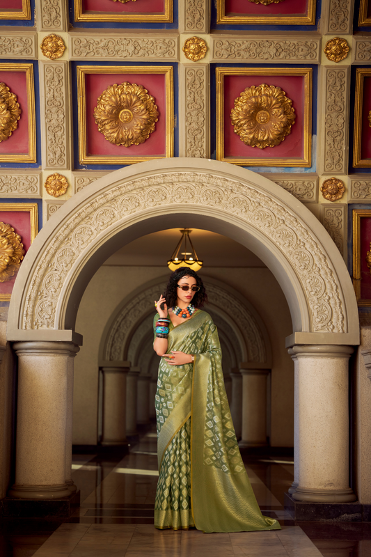 Tissue Silk Saree with Subtle Sheen and Elegant Drape