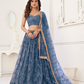 Trendy Butterfly Net Lehenga Choli with Intricate Thread & Sequin Work