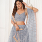 Trendy Butterfly Net Lehenga Choli with Intricate Thread & Sequin Work