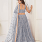 Trendy Butterfly Net Lehenga Choli with Intricate Thread & Sequin Work