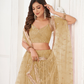 Trendy Butterfly Net Lehenga Choli with Intricate Thread & Sequin Work