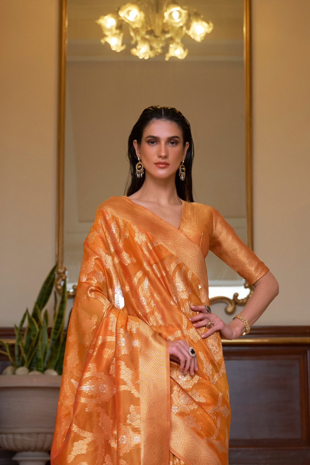 Organza Handloom Saree with Intricate Zari Weaving