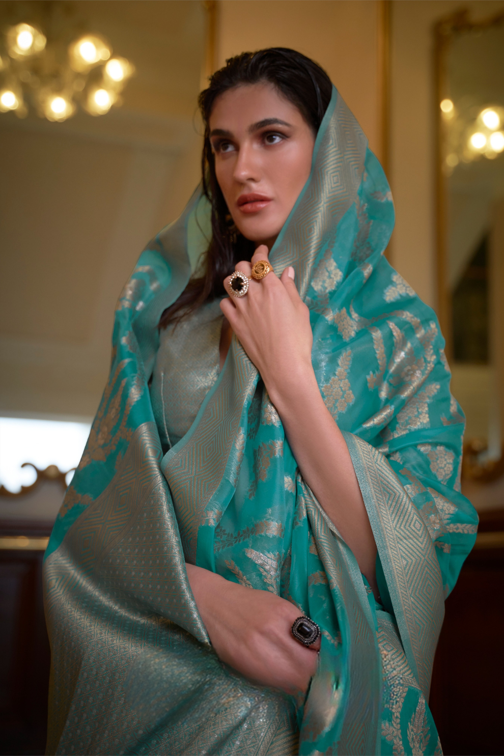 Organza Handloom Saree with Intricate Zari Weaving