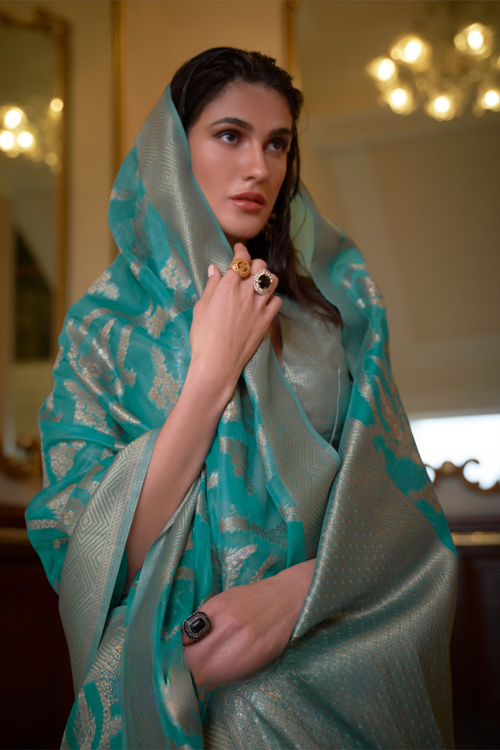 Organza Handloom Saree with Intricate Zari Weaving