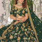Elegant blouse and soft net dupatta with border detailing