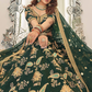 Elegant blouse and soft net dupatta with border detailing