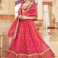 Elegant blouse and soft net dupatta with border detailing