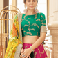 Elegant blouse and soft net dupatta with border detailing