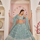 Beautifully Embroidered Net Lehenga with Sequin and Thread Detailing