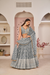 Beautifully Embroidered Net Lehenga with Sequin and Thread Detailing