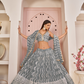 Beautifully Embroidered Net Lehenga with Sequin and Thread Detailing